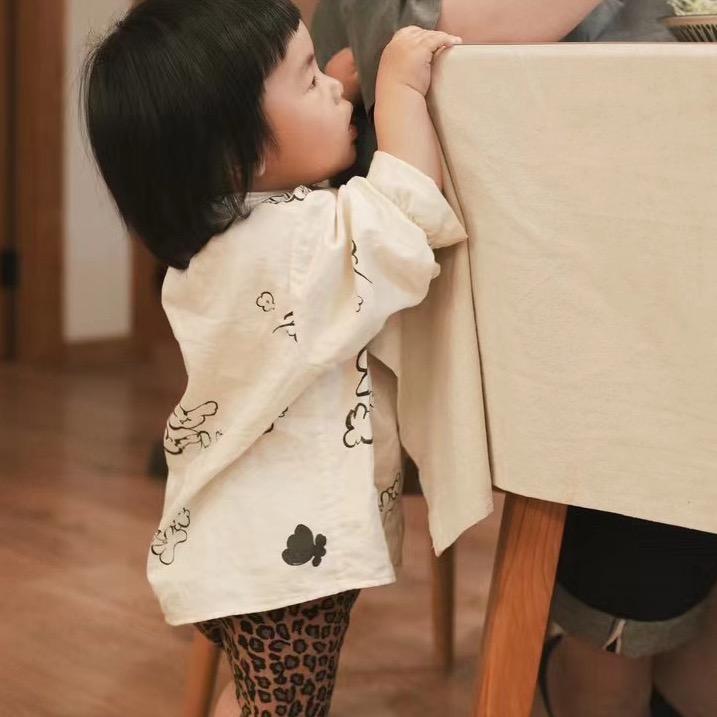 布丁小胖