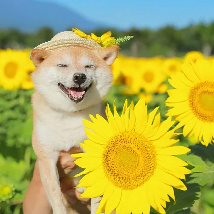 我命由我不油盐