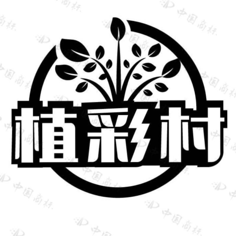 植彩村企业店