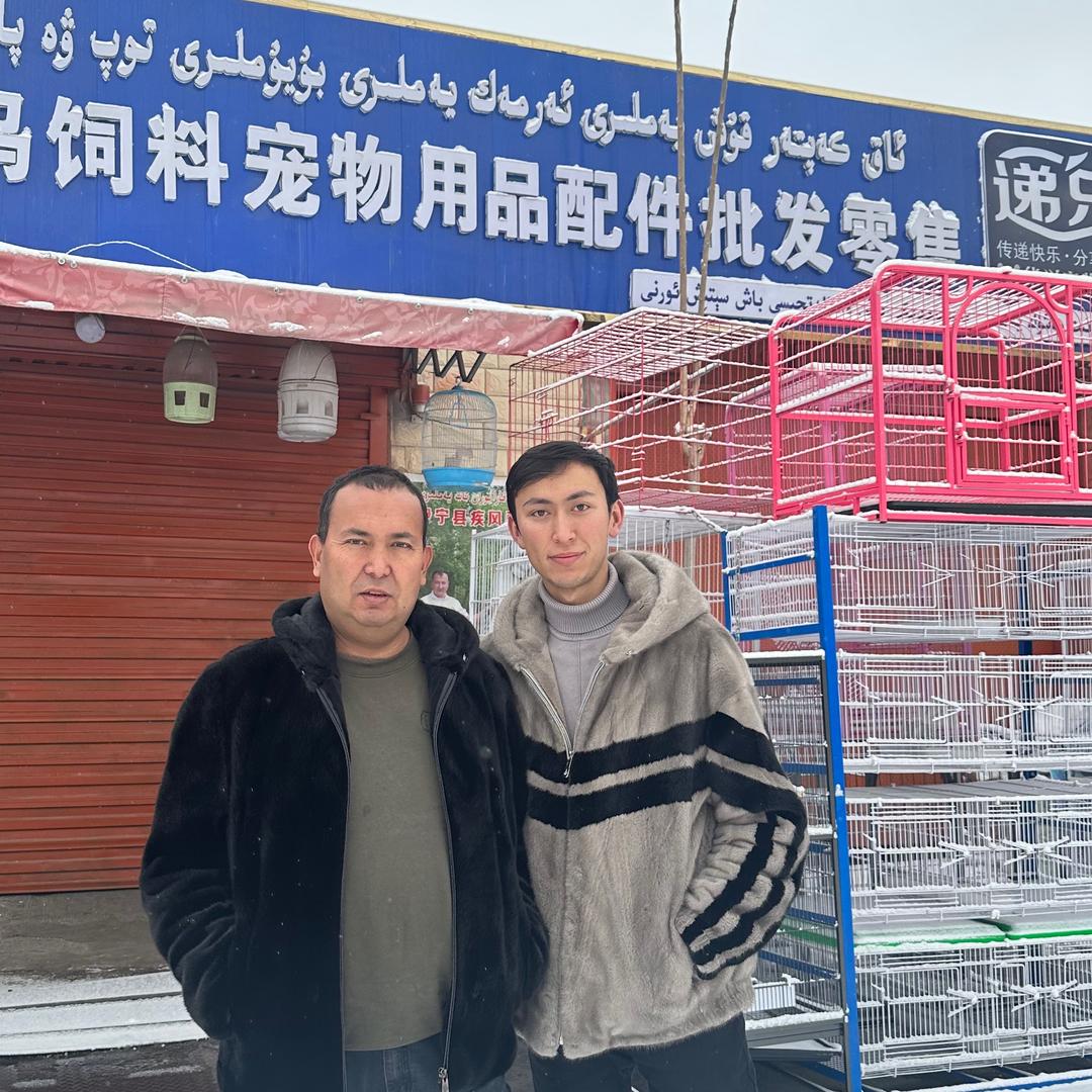 Akkaptar养鸽养鸟知识 白鸽子