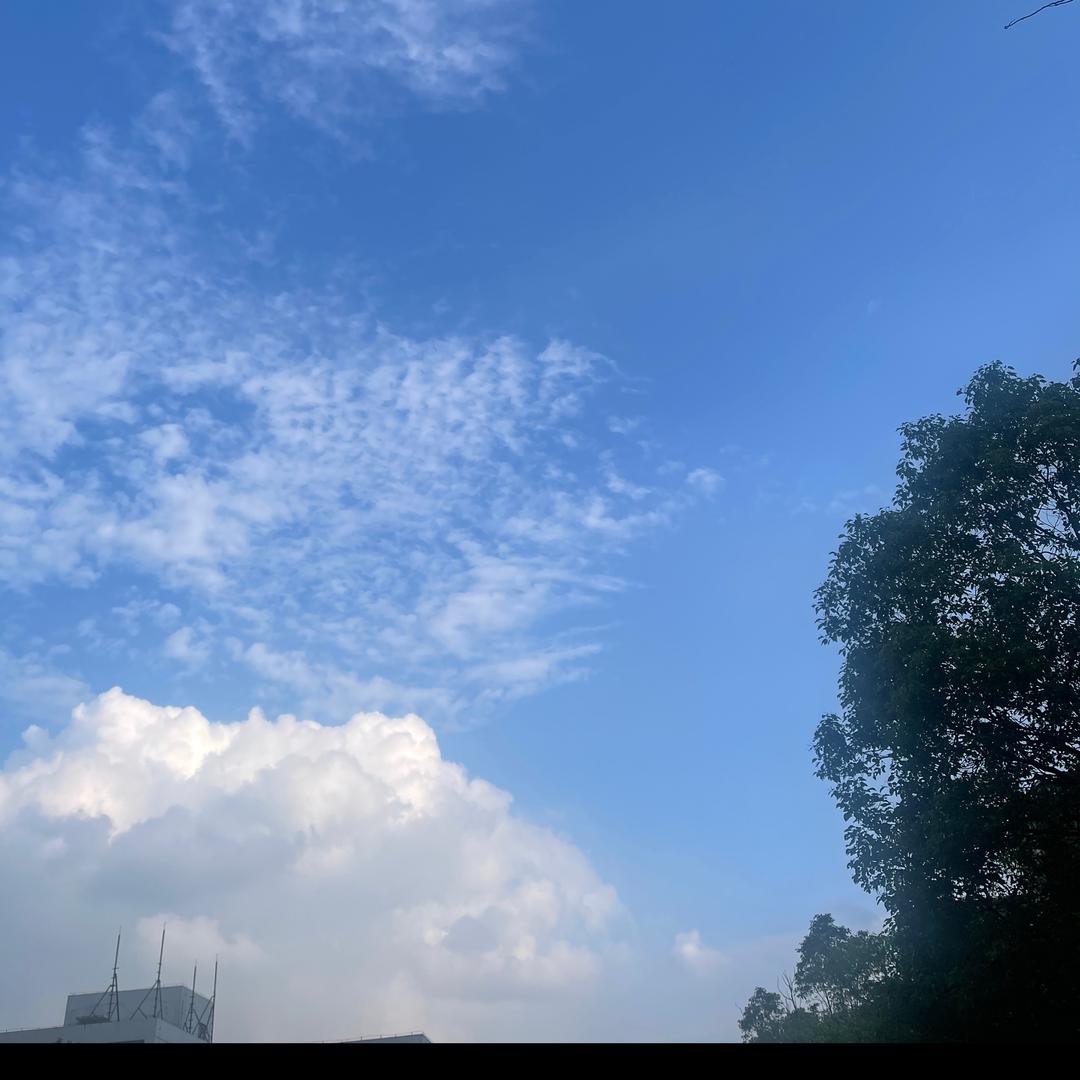 文-