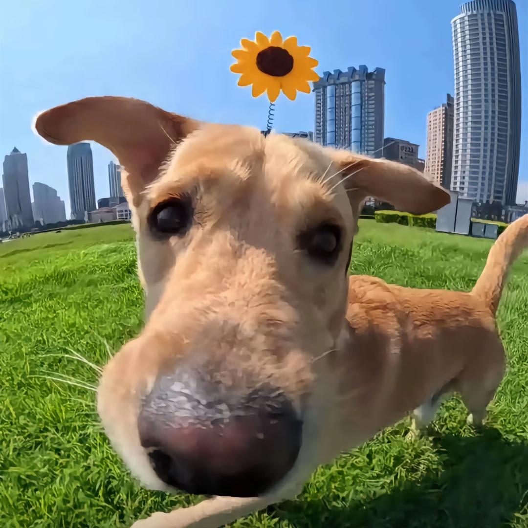 屁股镶钻的大帅哥