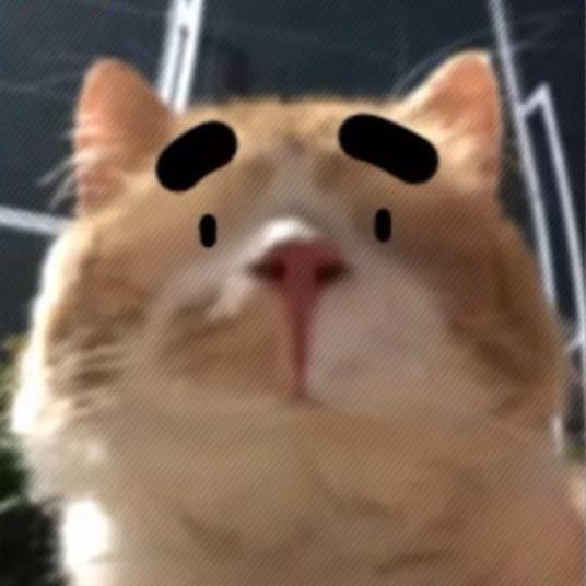 四月雪