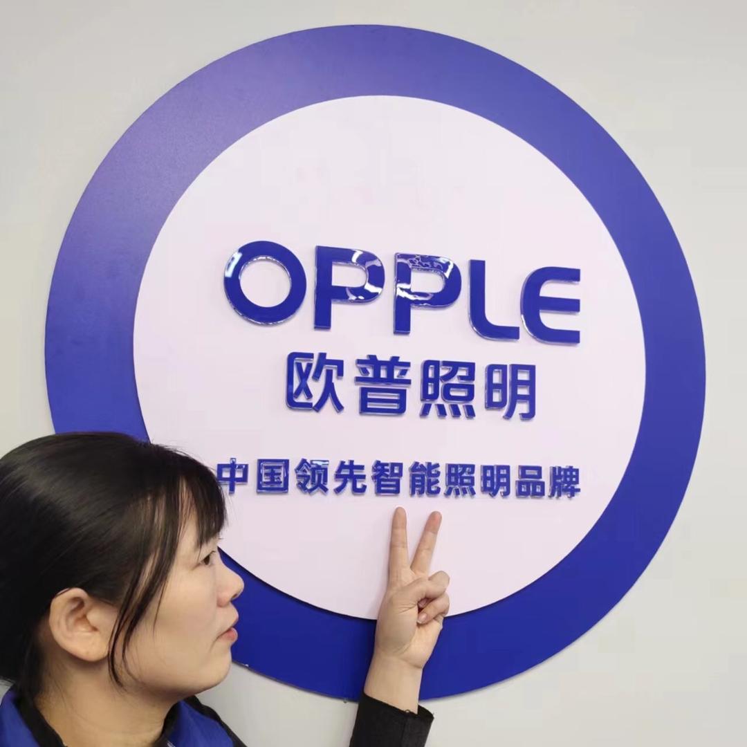 上渡欧普照明