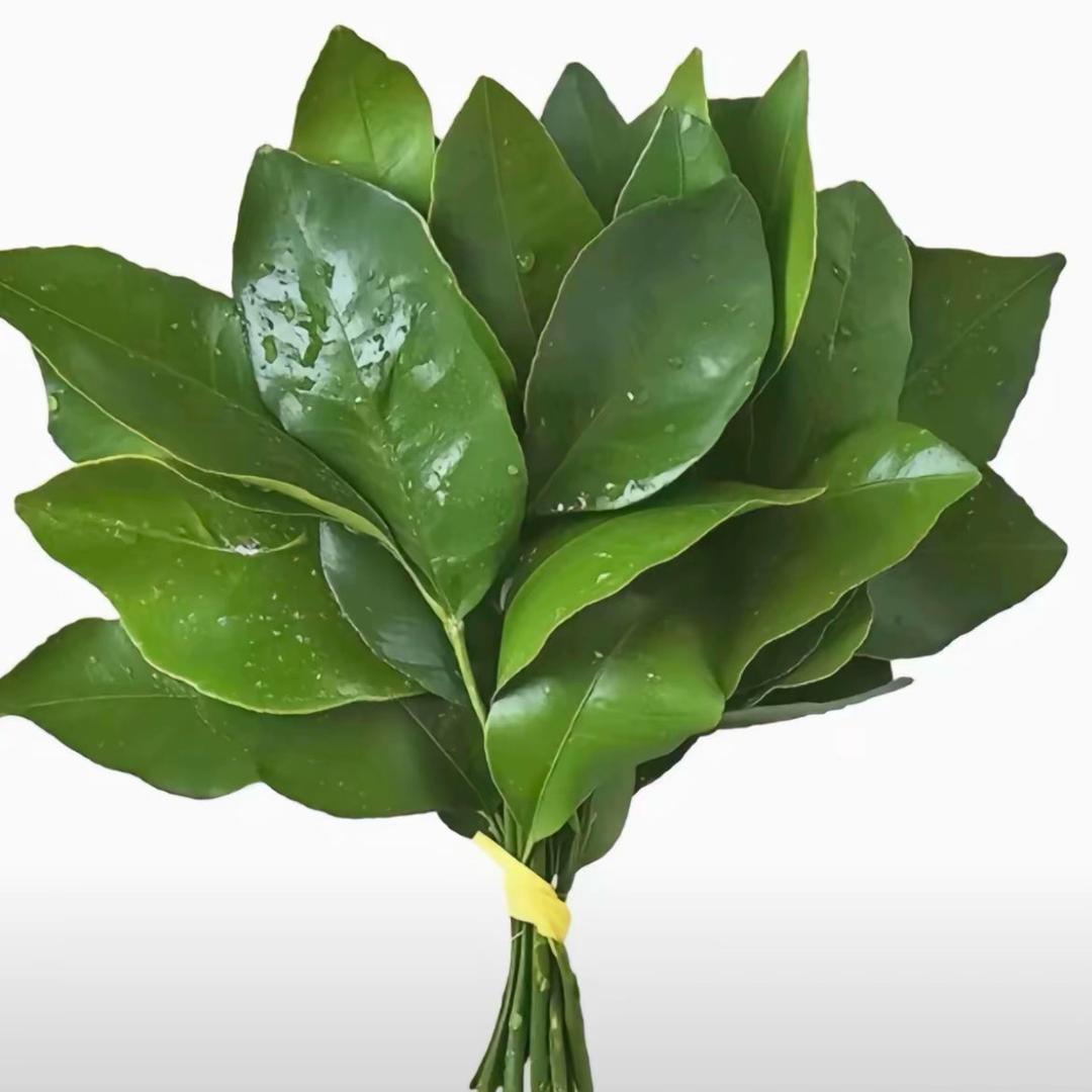 幸福小屋🏡➖🥩