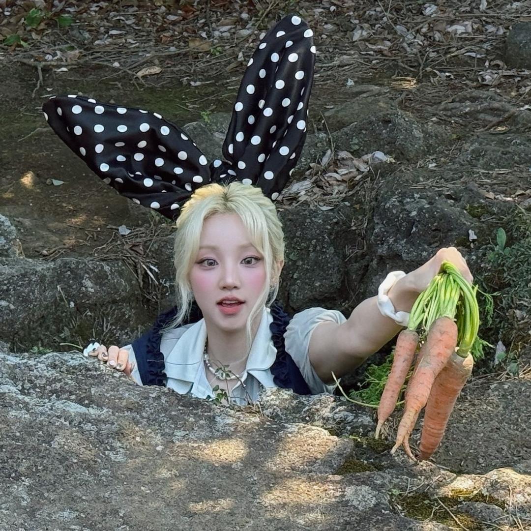 没头脑🐰ᶠ₃