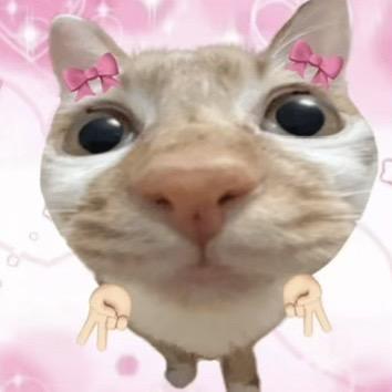 柚子小汁