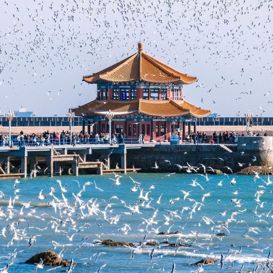 中景游国际旅行社