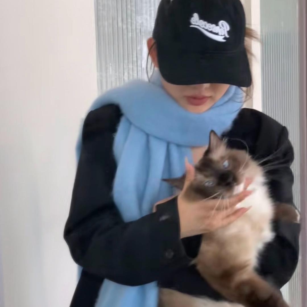 重生之我要涨粉