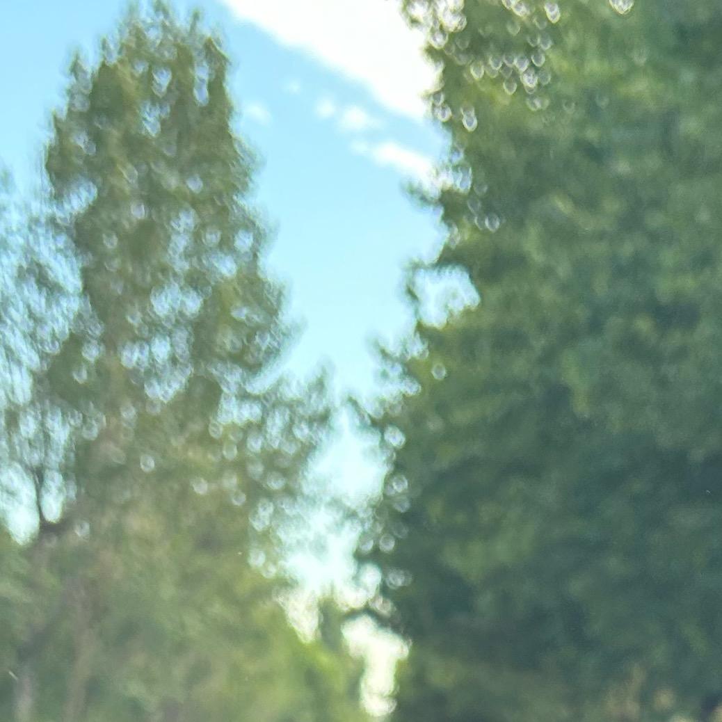用户73285436459138