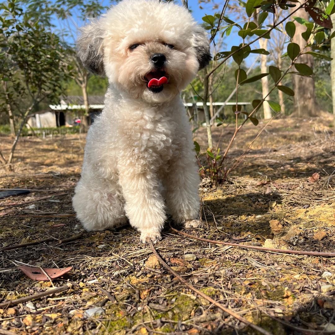 Eloise