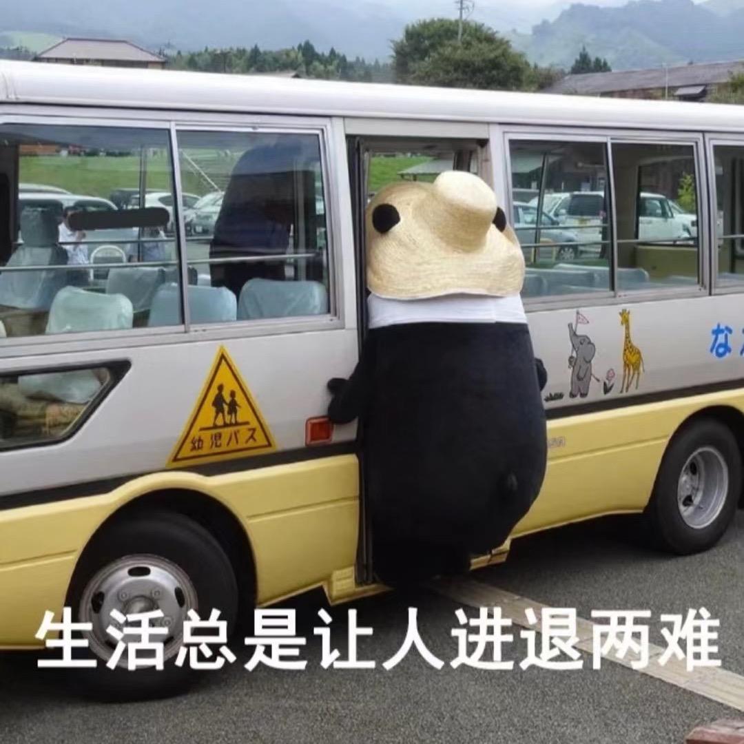 西瓜吹风(见过一次许嵩啦啦啦啦)