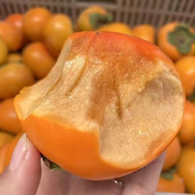 黄丽婷好物优选