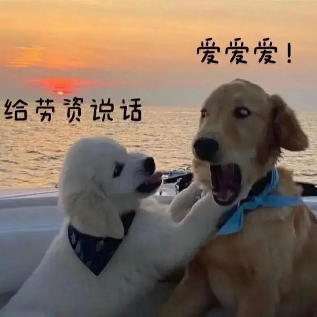 小黄皮