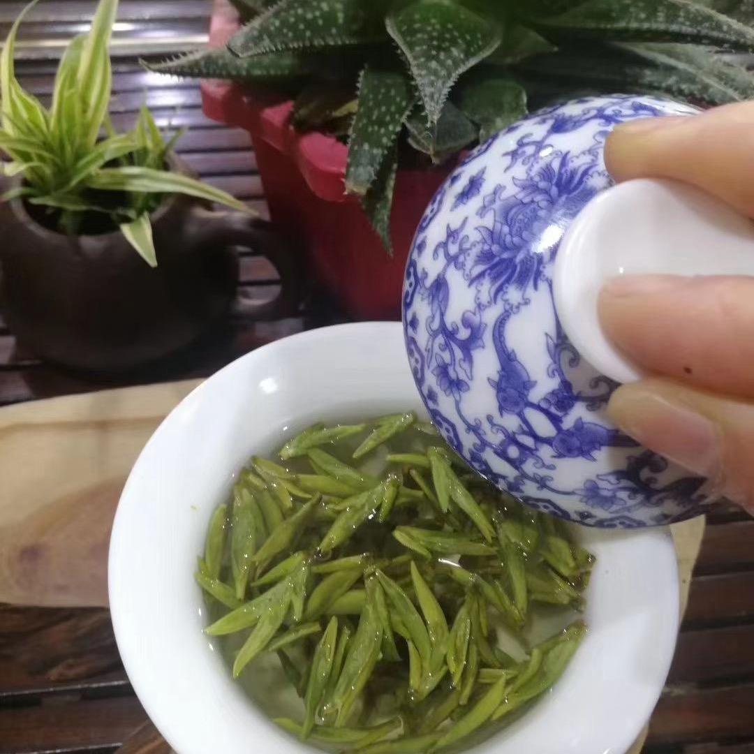 萌主耀发