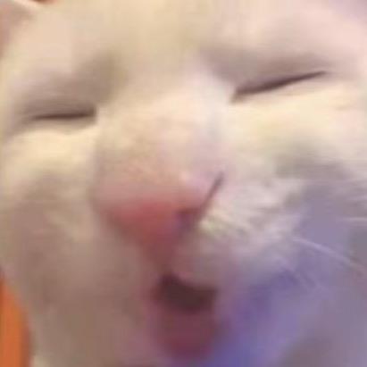 莹火虫会发光