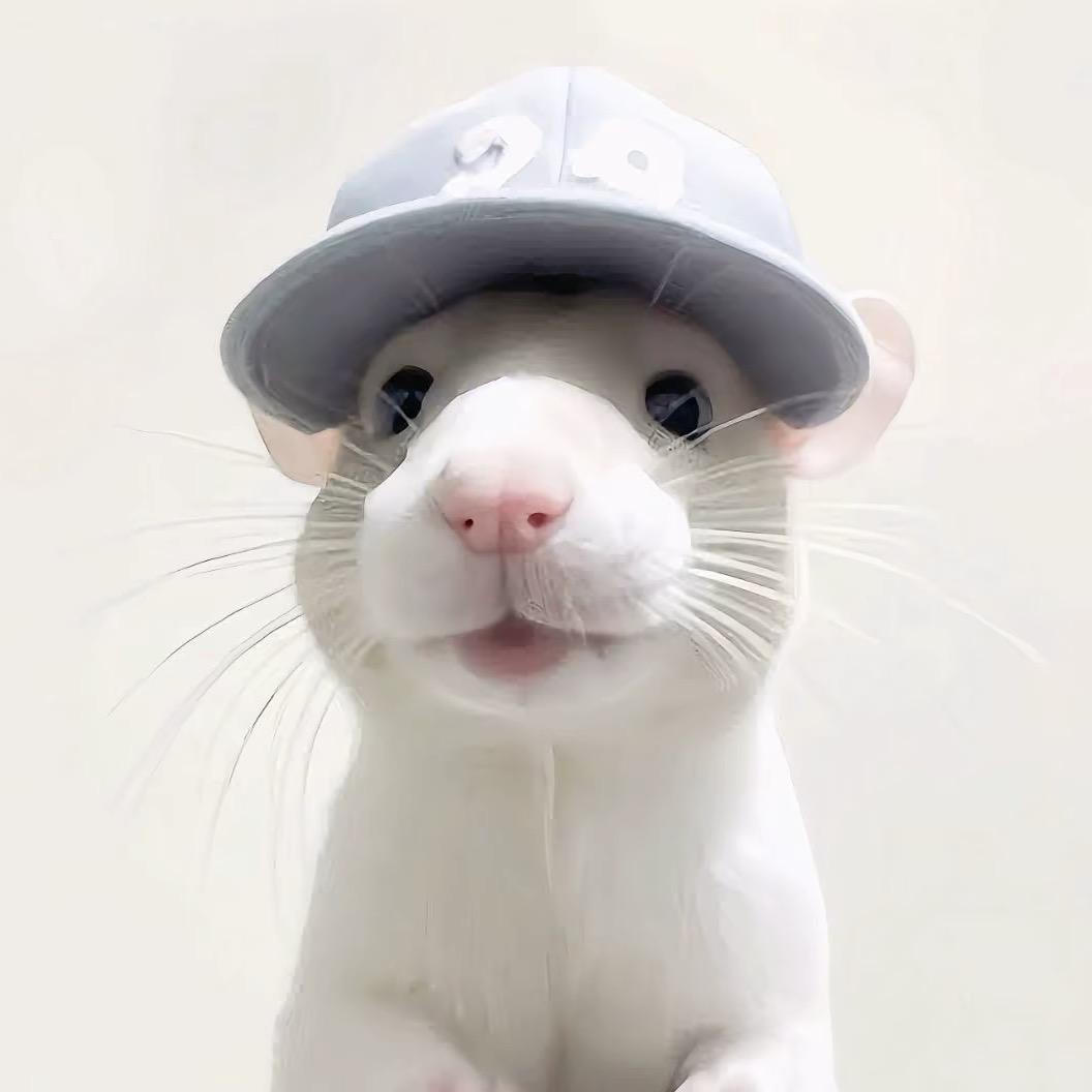 ㅤ ㅤㅤㅤㅤㅤㅤㅤ