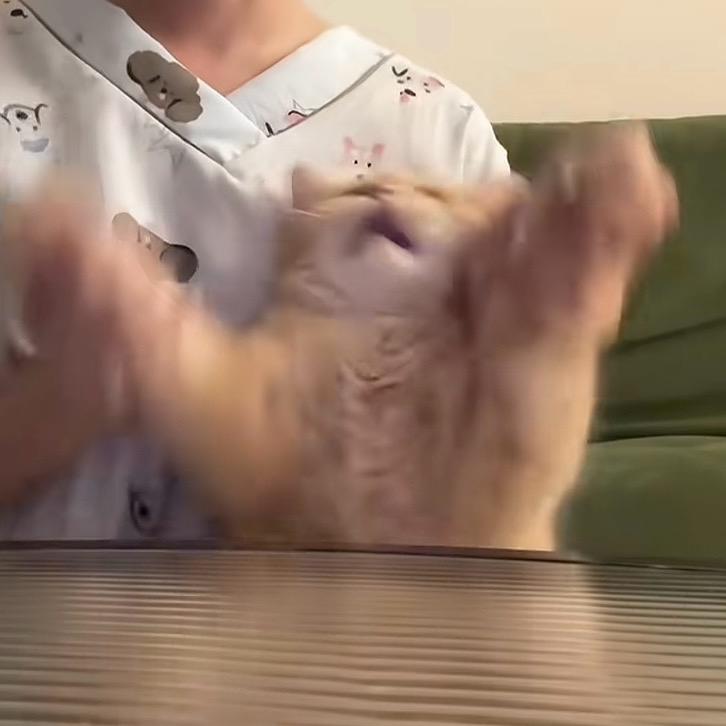 龟龟