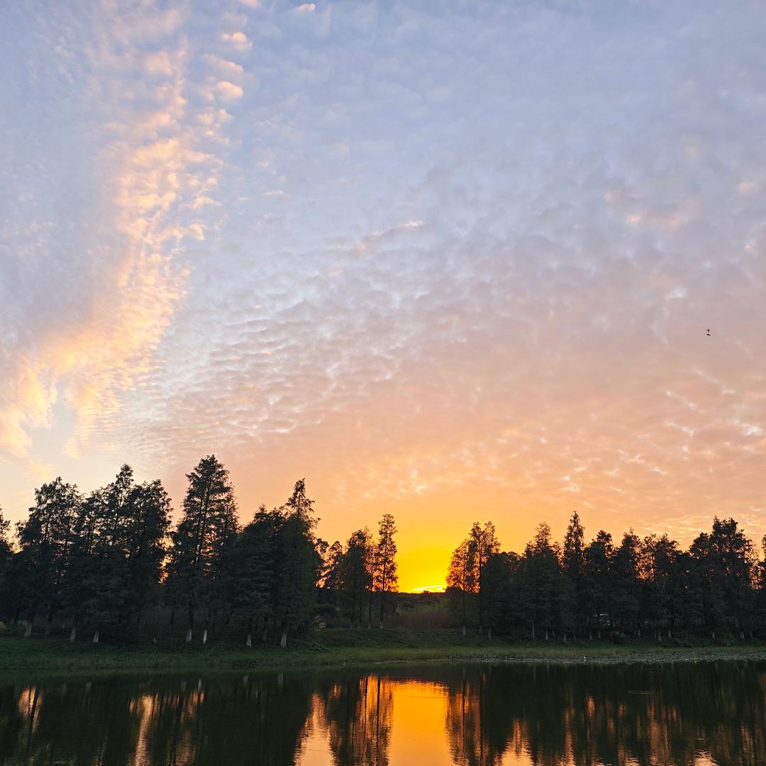 那些往事🎵❤️🎵