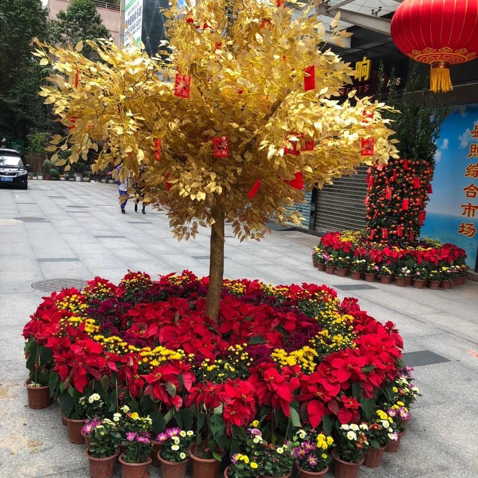 开心快乐 幸福健康