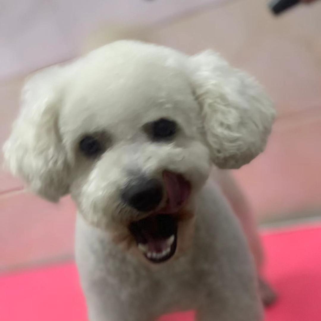北城菇凉
