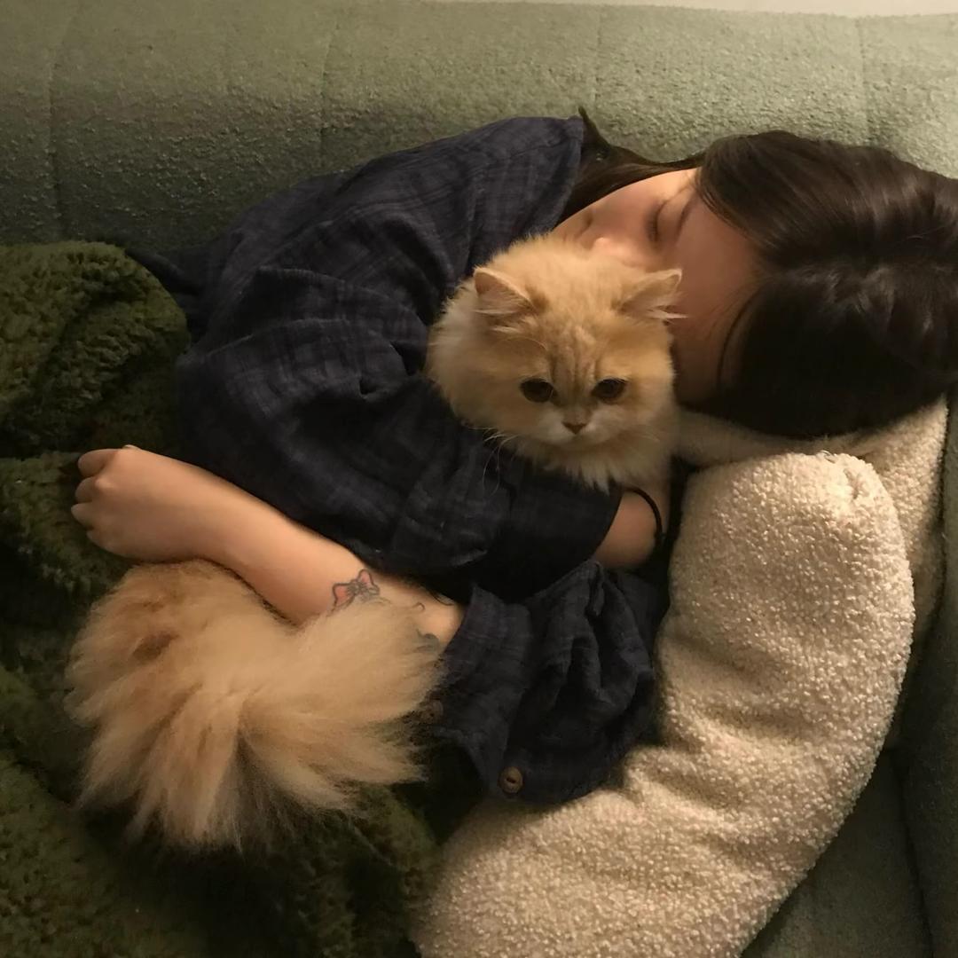 ㅤ￰ ￰ㅤ￰ㅤ￰ㅤ￰ㅤ￰