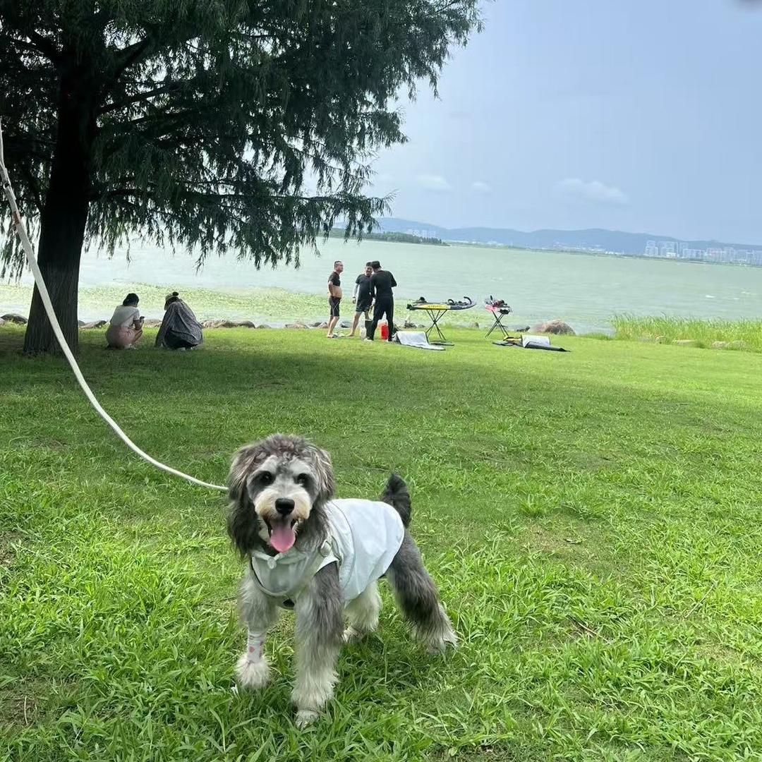 细长的胖子