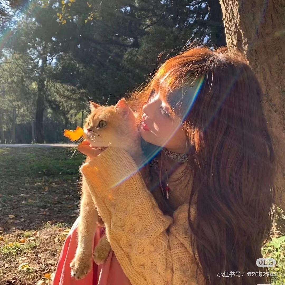 🌞⚡