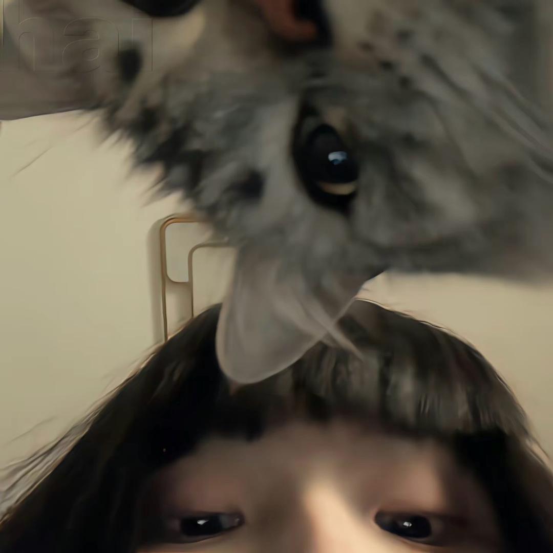 静安里