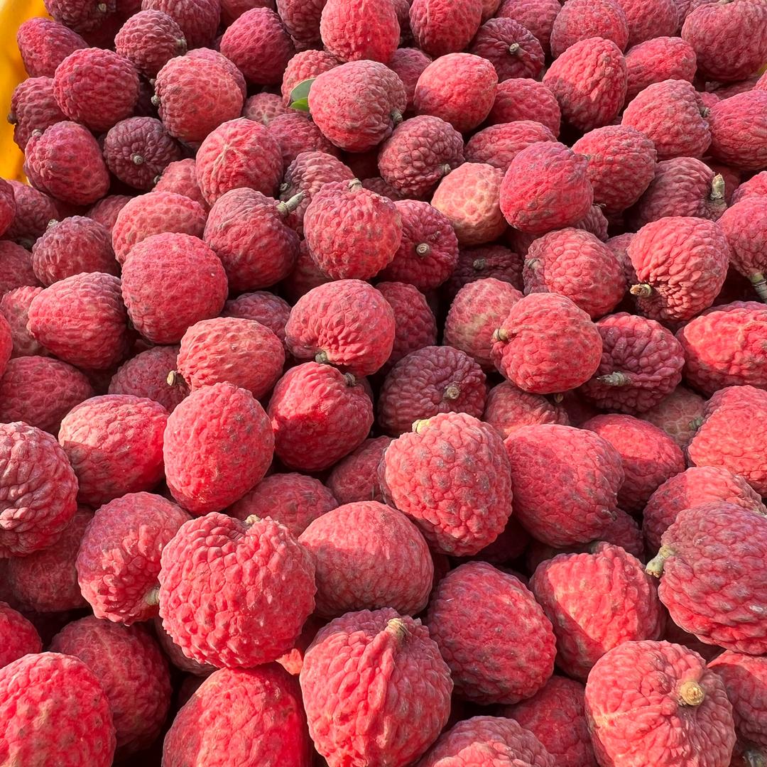 四川 红心猕猴桃