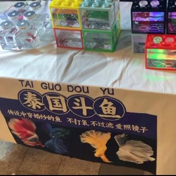 摆摊阿键