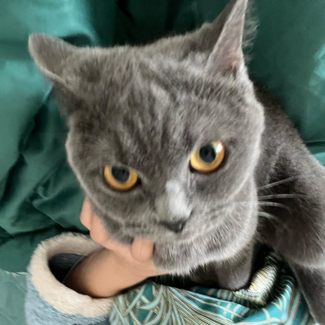 纯爱战士🧚‍♂️🧚‍♀️