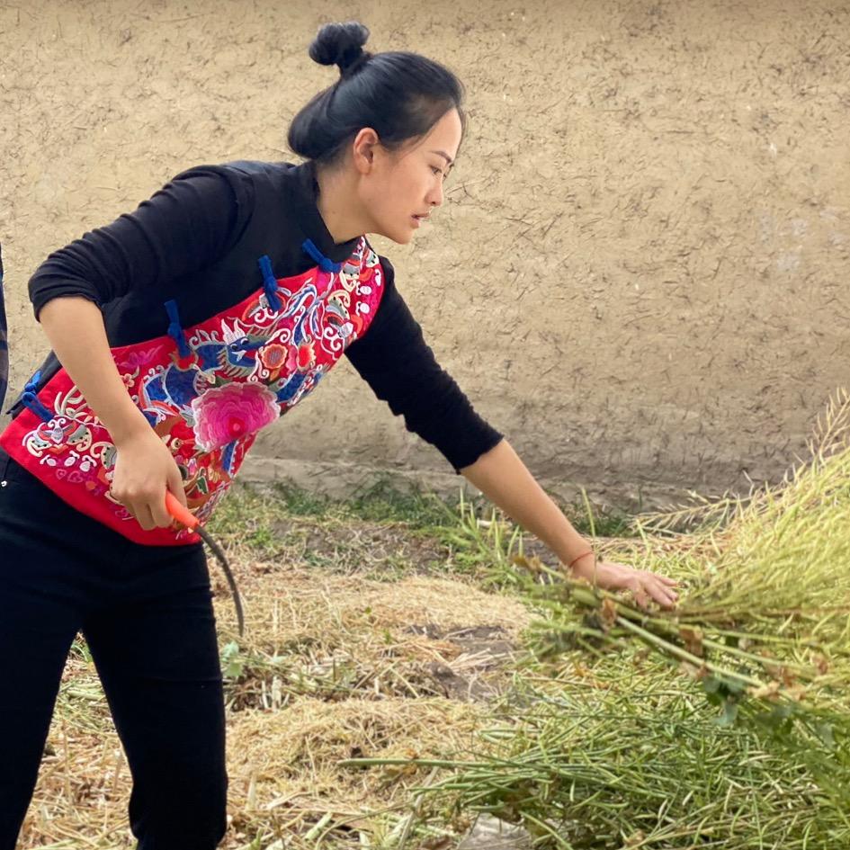 小清在丽江