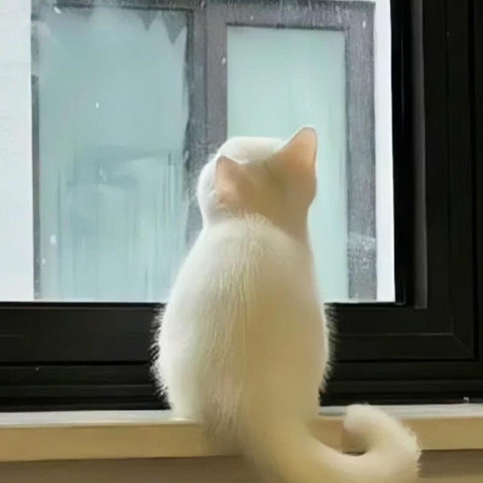 染
