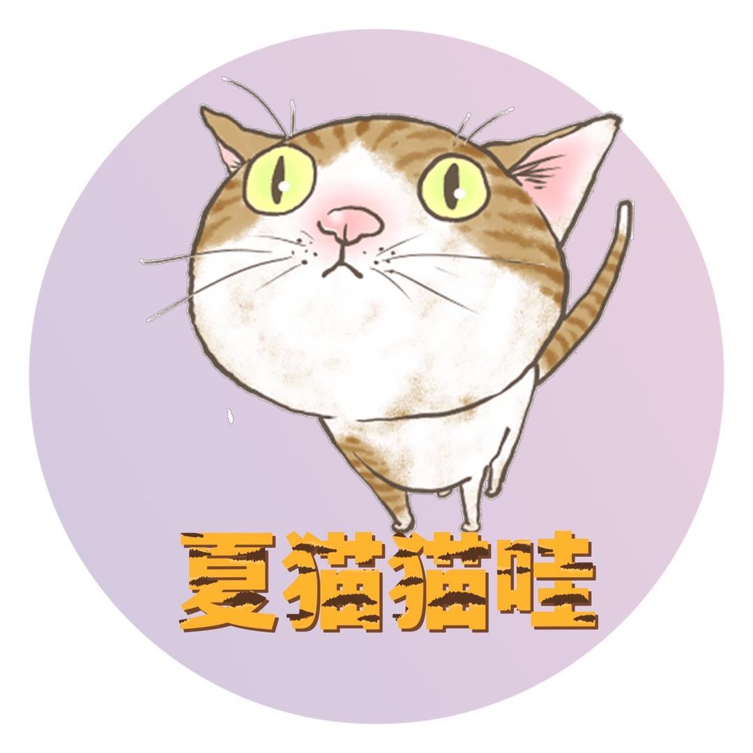 夏猫猫哇