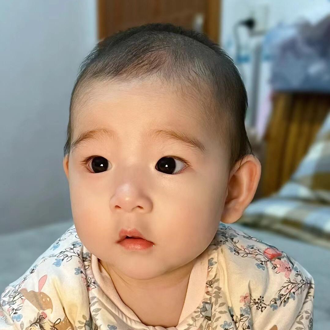 小苏夏