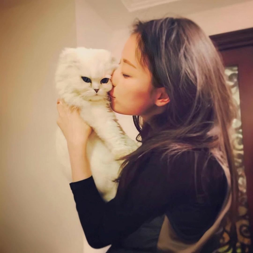 鲨鱼——