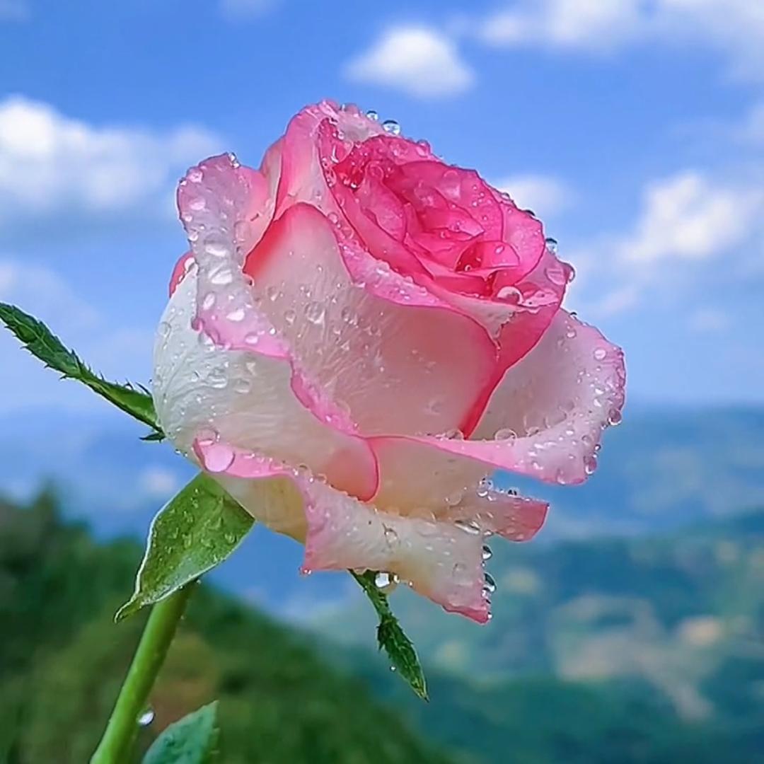 梦儿💞爱服饰（商品在橱窗）