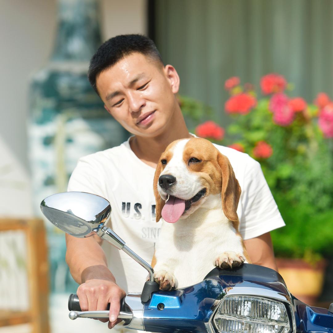 永康犬业 十号基地 直播号