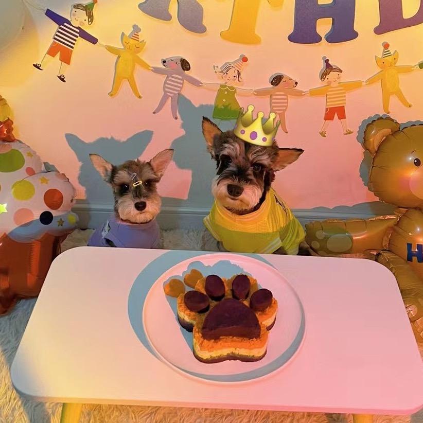 锡宠家宠物(大塘御园店)官方号