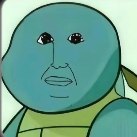 寻道大千、杰尼龟