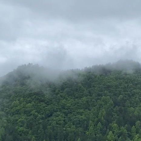 黔农人云松11.30日四娘&三周年庆摄影