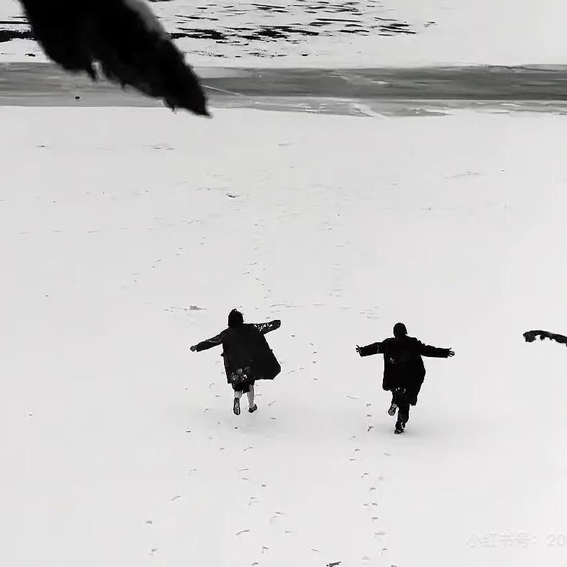 Freedom、