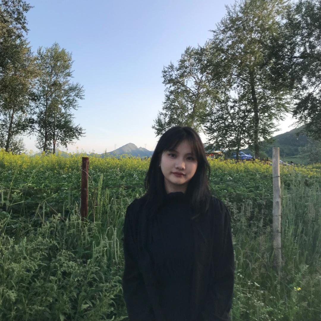 川上述