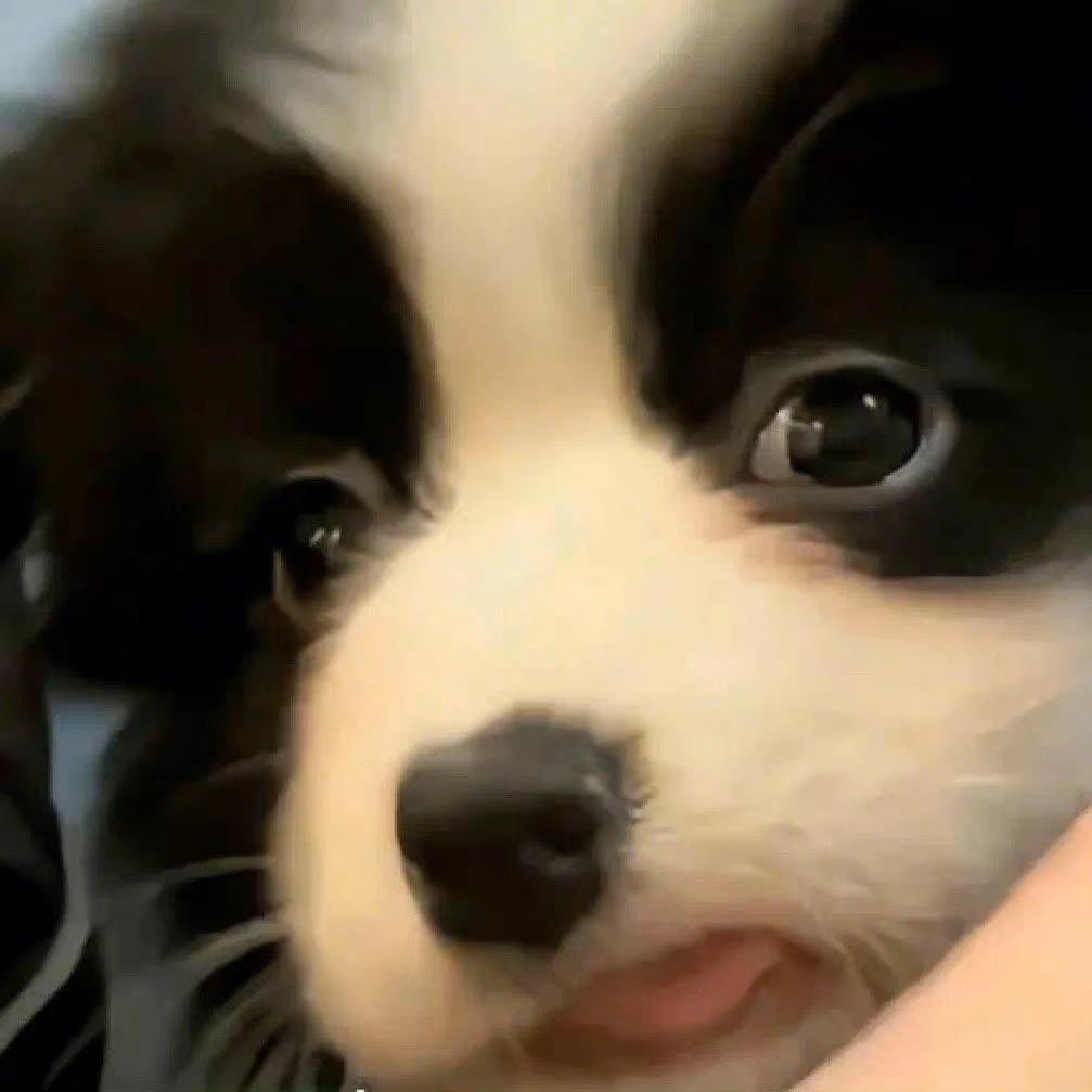 问题儿童