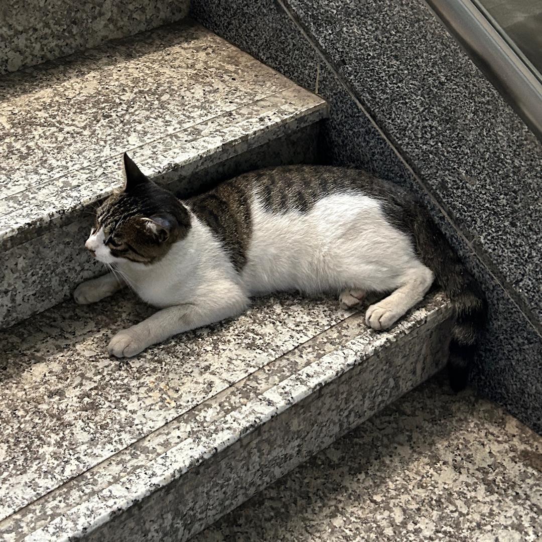 没有名字给我用了