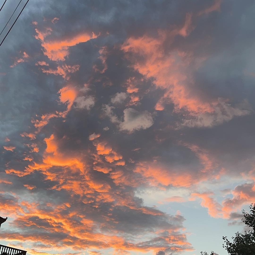 心不死则道不生