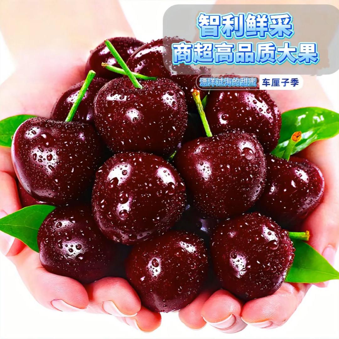 绿意水果（车厘子自由）