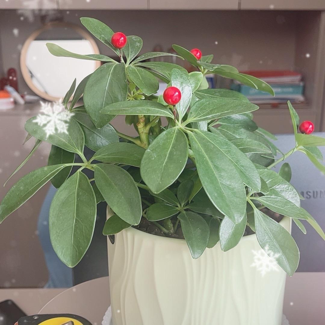 顾家家居(开封市通许县乐活店)