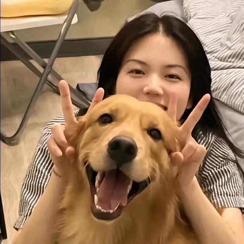 🐑不理包子.